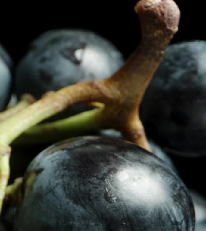 垂直视频。一簇黑葡萄和又大又圆的深蓝色浆果在黑色背景上旋转。多莉滑块极端特写。