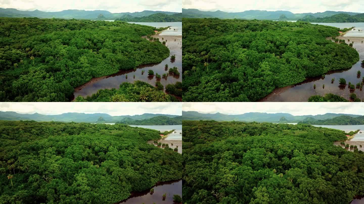密克罗尼西亚波纳佩南马都尔附近的红树林与河流的风景无人机视频