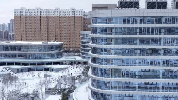 雪景