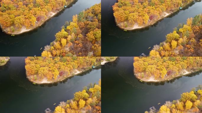 秋天的空中鸟瞰河上的皮艇和森林