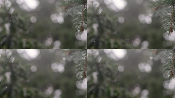 在慢镜头中捕捉到的降雨，水滴在散焦的树线上变得锋利。秋日的细雨氛围。