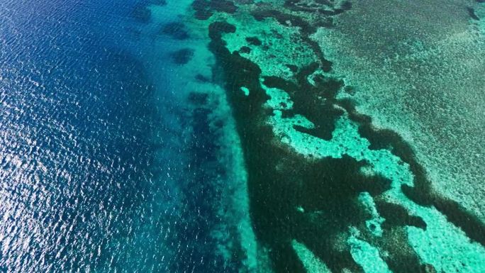 无人机拍摄的沙特阿拉伯红海亚喀巴湾珊瑚的视频。