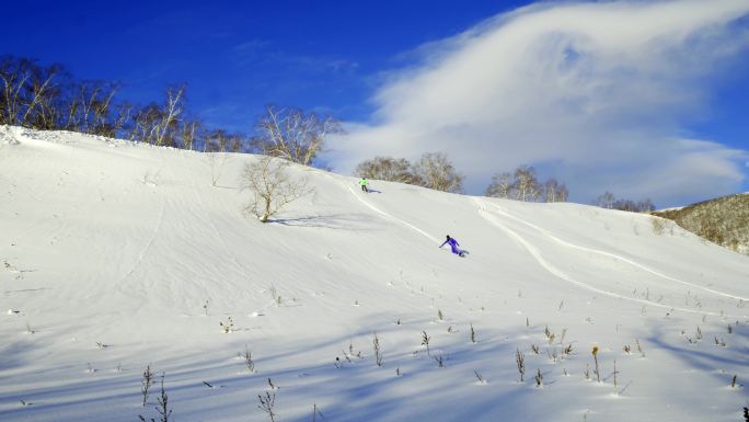 双人滑雪从高处滑下