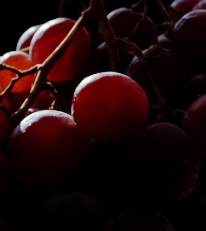 垂直视频。一串红葡萄的特写，阳光柔和地照亮了它，在黑色的背景下，特写。