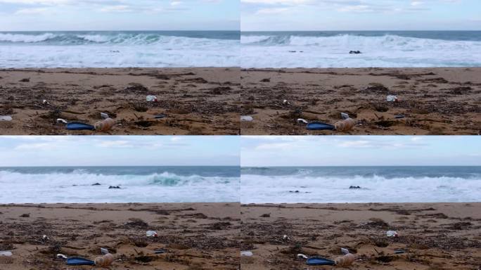 海滩上的垃圾风景社会责任治理生态平衡