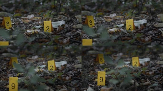 森林地板上的树叶上，子弹旁边的警察法医标记