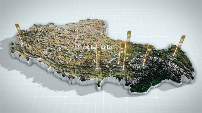 西藏地图三维3d