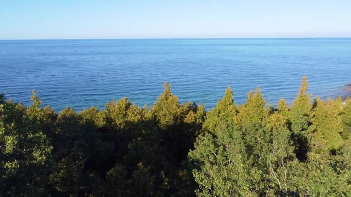 五大湖海岸线上生机勃勃的绿树，鸟瞰图