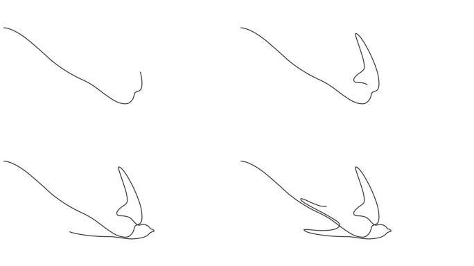 连续一行动画视频的燕子在飞行。