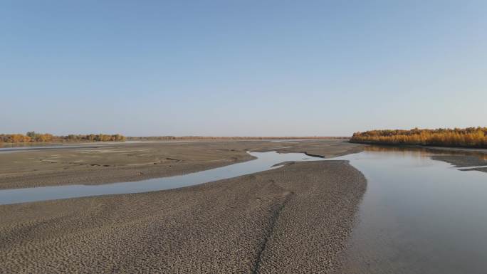 叶尔羌河的秋天