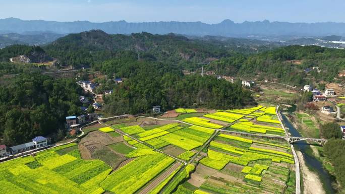 乡村油菜花片头素材航拍