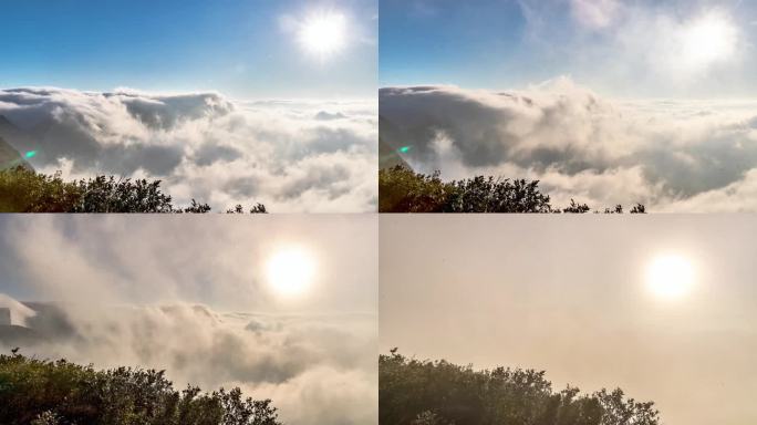 重庆南川：金佛山“观海”