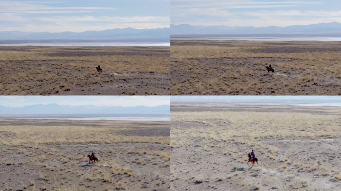 青海冬季草原放牧航拍