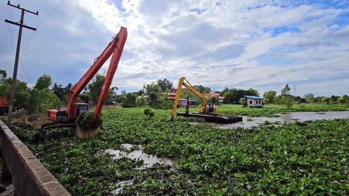 消灭在泰国堵塞水渠的水葫芦。