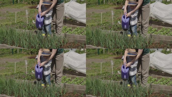 女人和孩子一起在花园里给大葱浇水。弹簧的工作