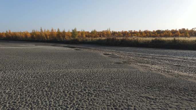 叶尔羌河的秋天（一）