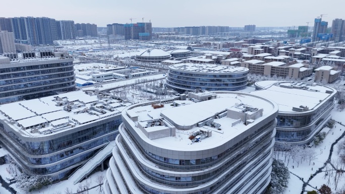 雪景