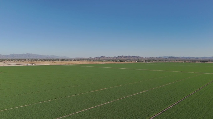 亚利桑那农田系列宣传片空镜头大景全景