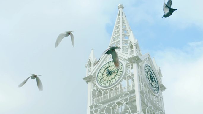 鸽子飞过白色钟楼