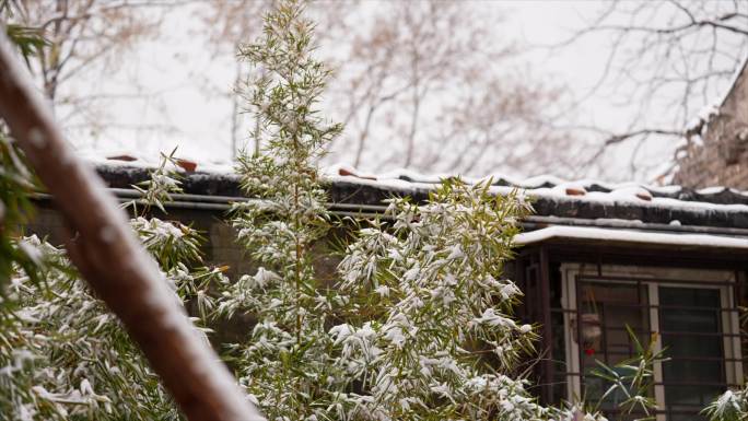 北京初雪：静谧的红墙绿瓦