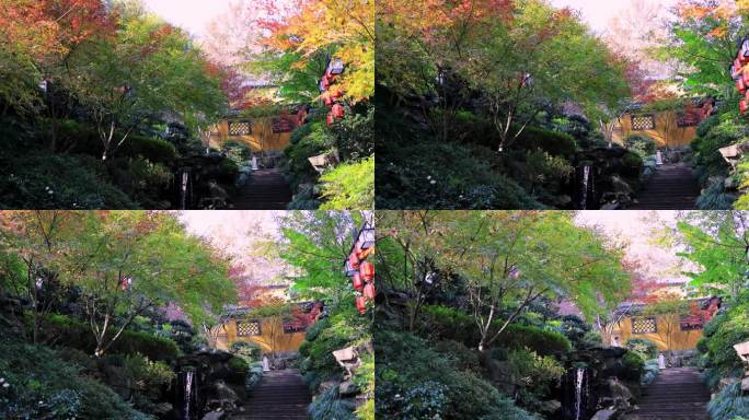 杭州永福寺红叶季层林尽染的小路