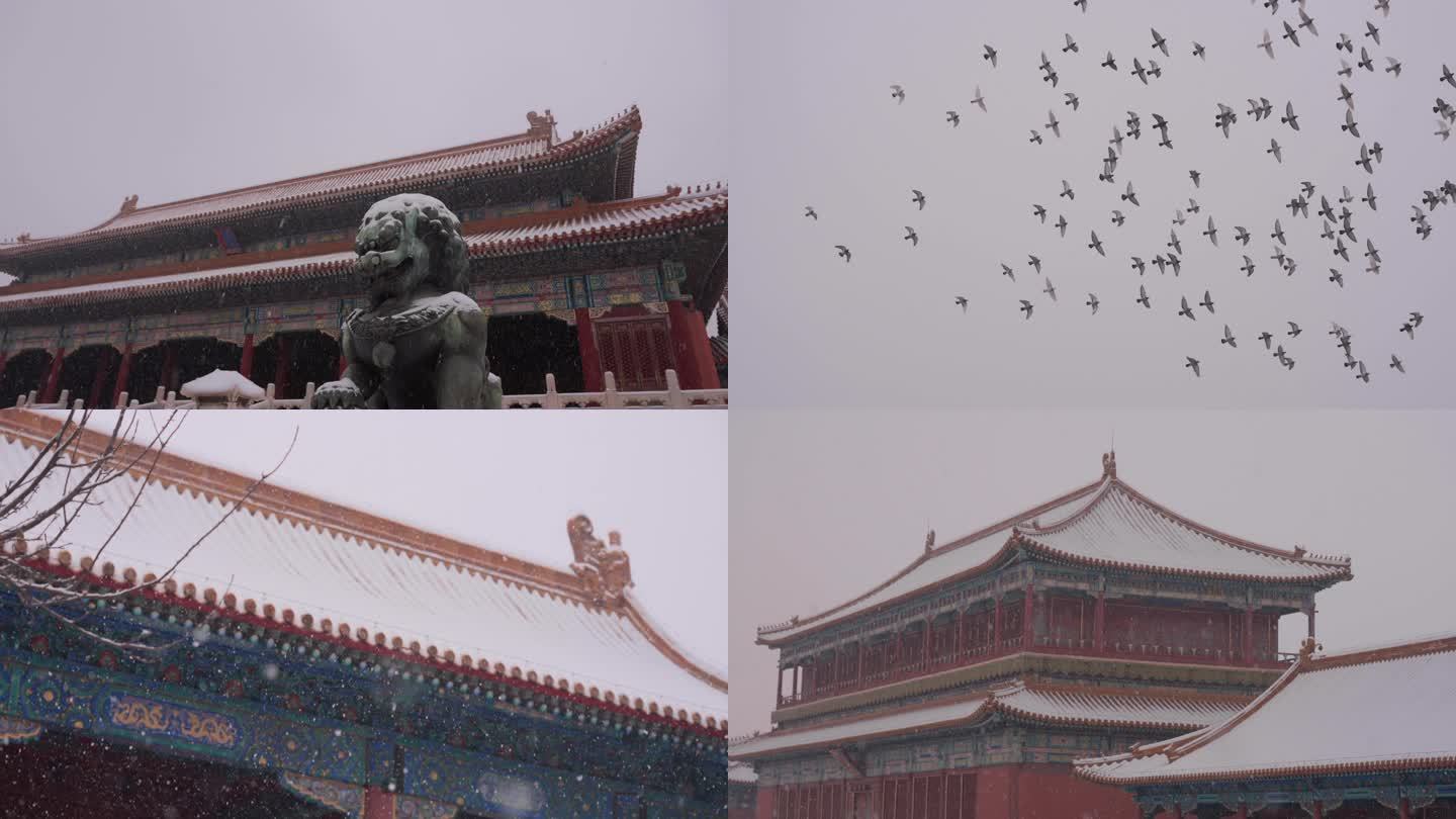 北京冬天故宫紫禁城雪景实拍