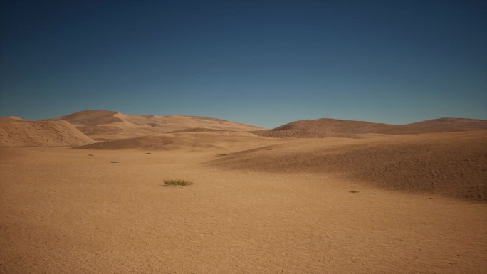阳光明媚的日子里孤独的沙漠