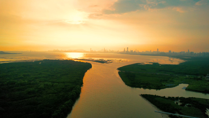 深圳湾深圳河