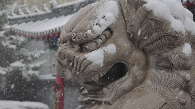 沈阳大雪铜狮子