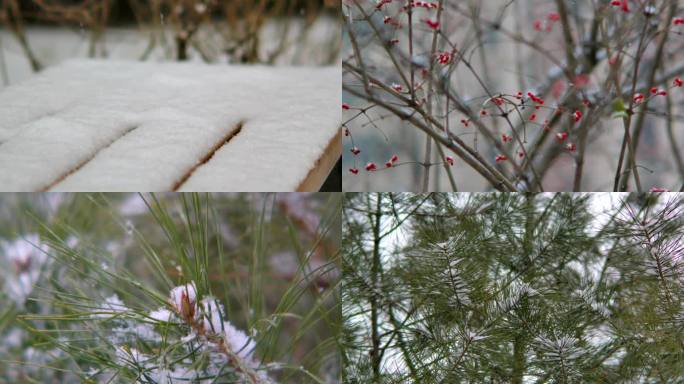 4k冬天雪花飞舞飘落升格