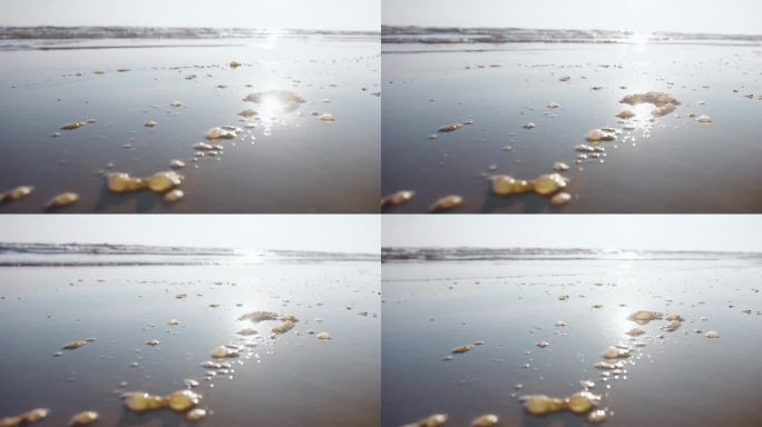 环境灾难:溢油被冲到海滩