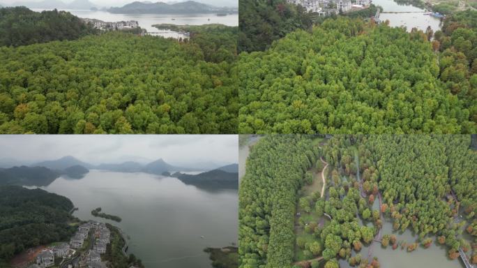 青山湖风景