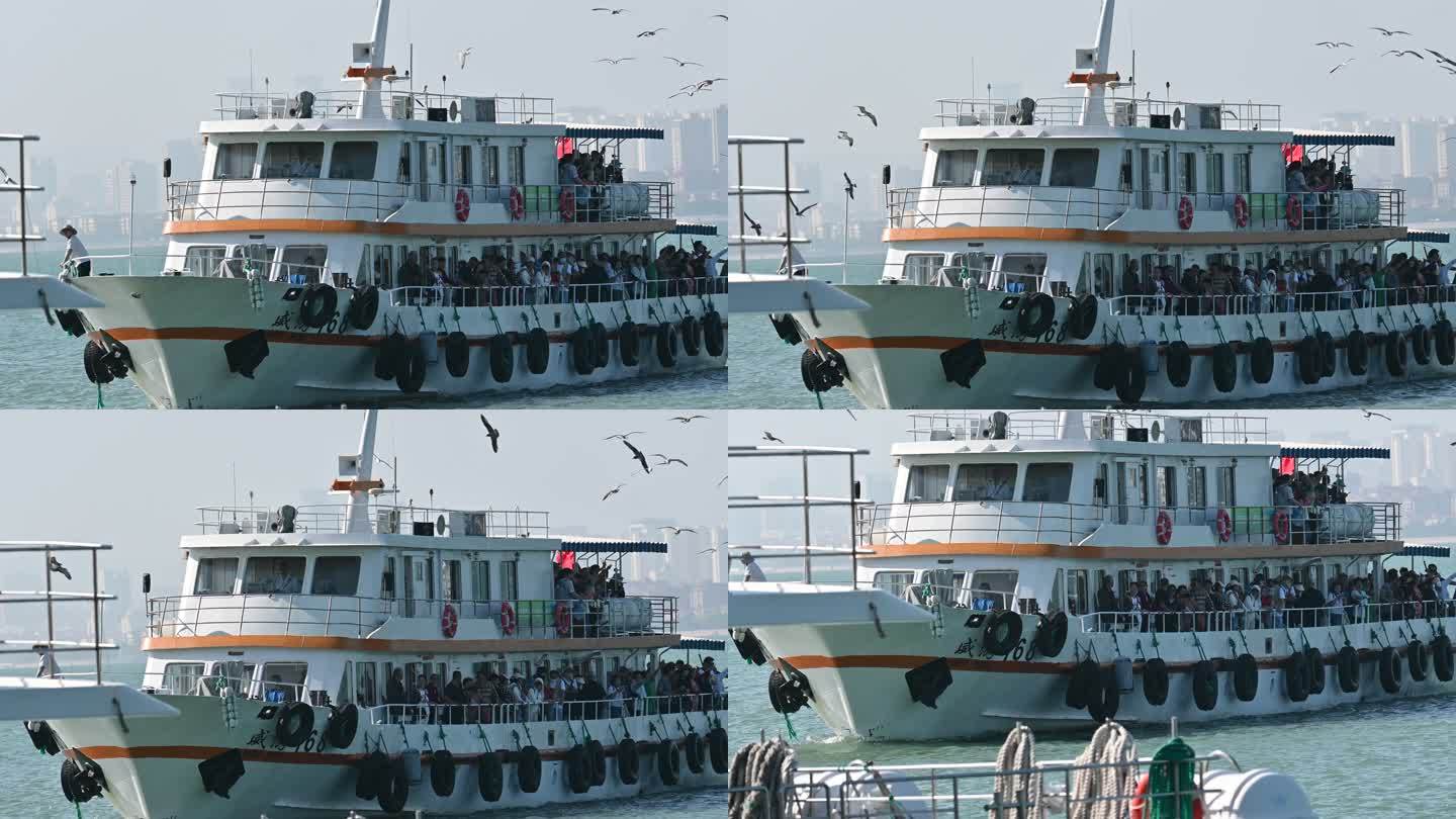 载满游客的客轮 周围环绕着海鸥