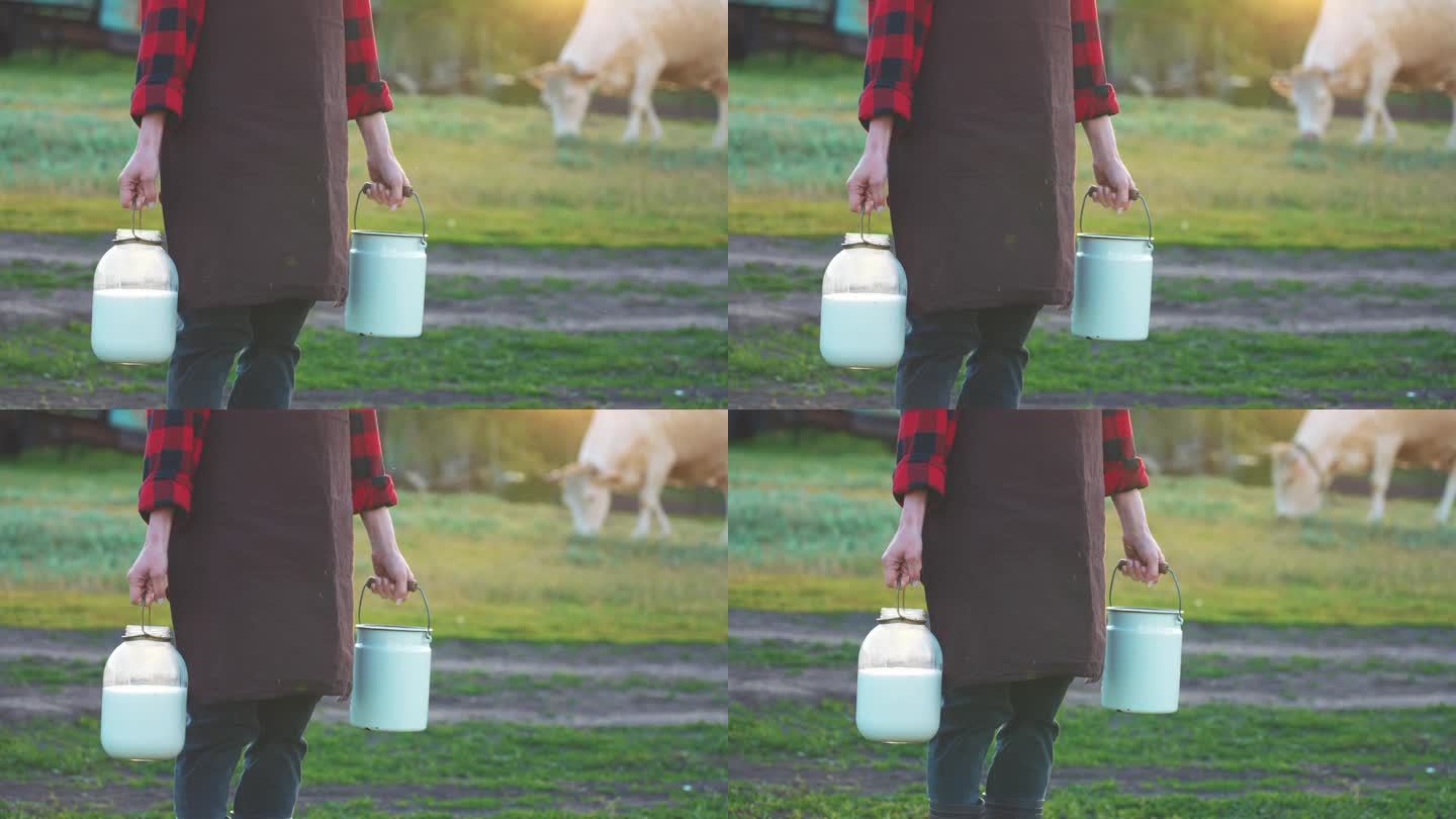 妇女站在牧场牧场的牧场上，手里拿着一个牛奶罐给牛挤奶。为农牧生产天然、健康的产品。夏天的阳光照在大自