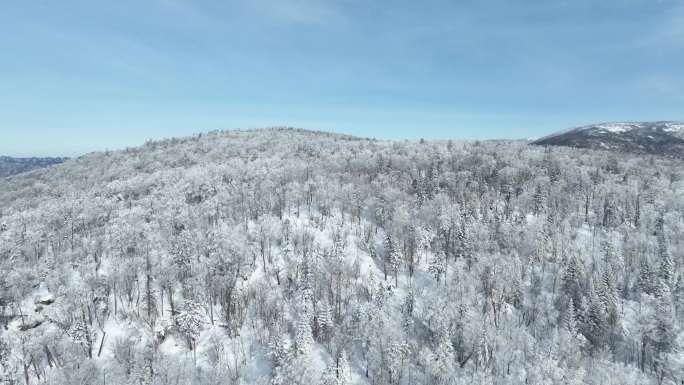 雪山