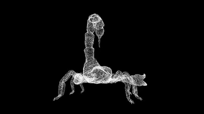 3D蝎子在黑色背景上旋转。危险动物概念。有毒的蝎子。商业广告背景。用于标题，文本，演示。3d动画60