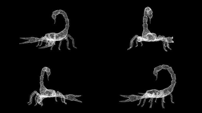 3D蝎子在黑色背景上旋转。危险动物概念。有毒的蝎子。商业广告背景。用于标题，文本，演示。3d动画60
