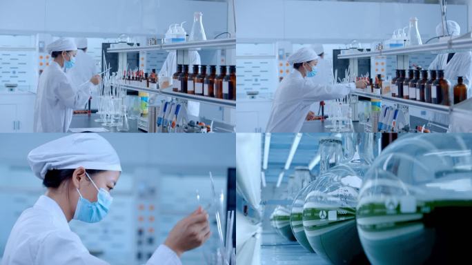 生物化学实验室研究人员研发小球藻培育实验