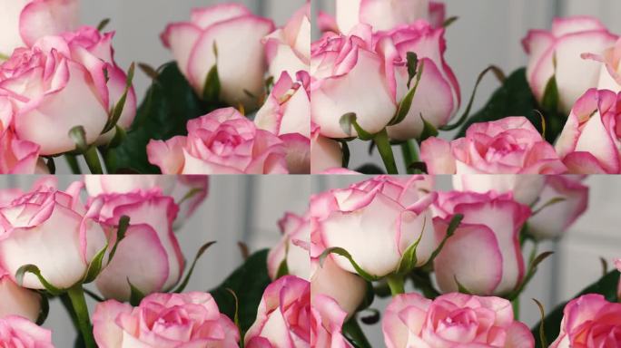 结婚周年快乐。一束淡粉色的玫瑰。礼物的概念。生日快乐，情人节快乐。