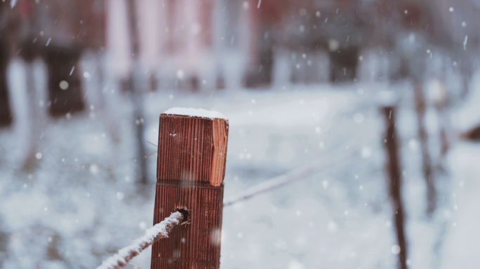 冬天 雪 下雪 大雪 雪花 雪景