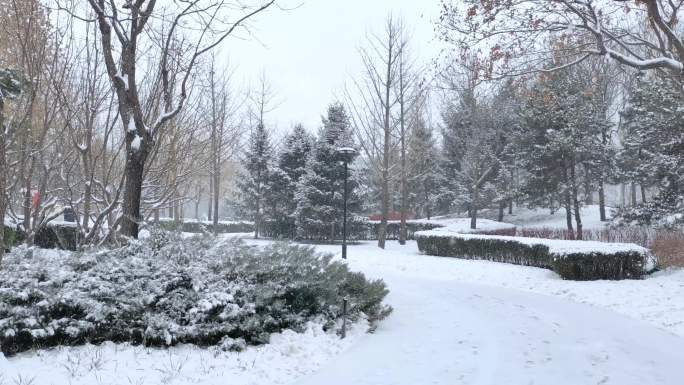 下雪天的城市道路 雪天城市环境道路 路边