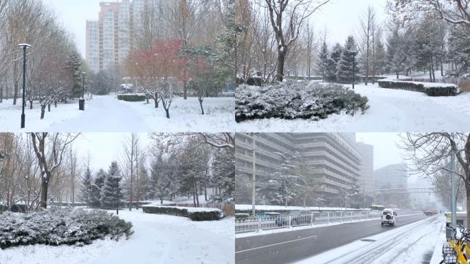 下雪天的城市道路 雪天城市环境道路 路边