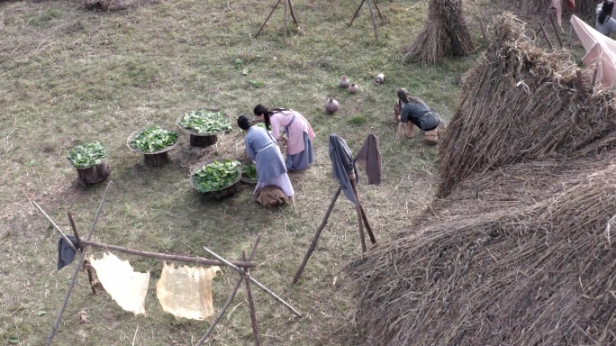 古人古代生活场景采桑女桑叶茅草屋航拍大景