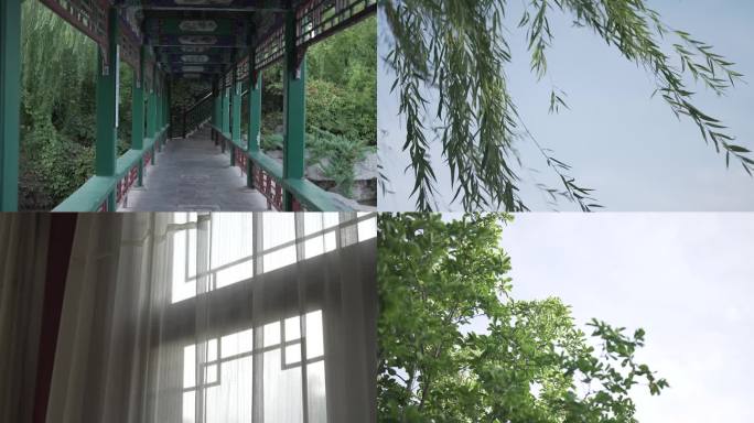 阳光下中式建筑水波光影1080p50帧