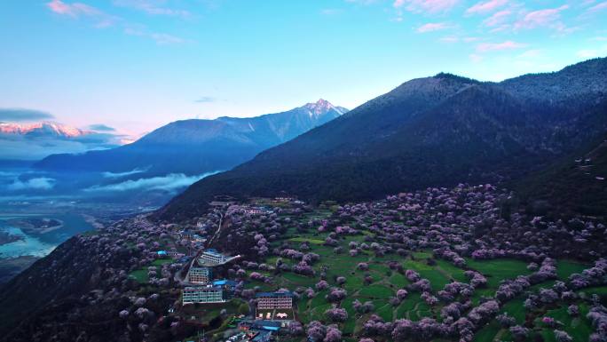 西藏林芝索松村桃花航拍视频4K