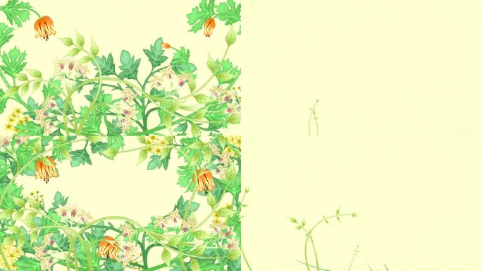 种植植物和藤蔓。包3动画纸纹理背景。两个有复制空间。