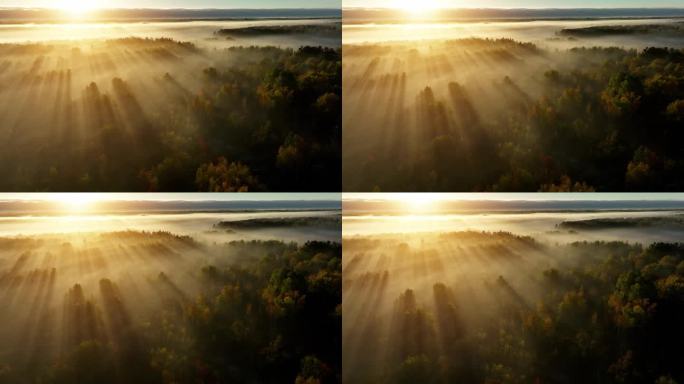 航拍照片，阳光照耀着明尼苏达的树木和雾