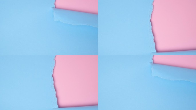 全高清慢动作视频与撕纸。抽象撕裂纸视频横幅在粉红色和蓝色与复制空间的颜色。撕开的纸与蓝色背景文字的空