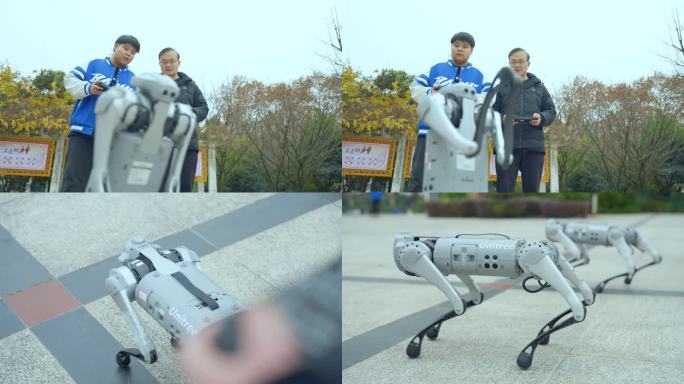 大学生创新 机械制造 未来科技 电子狗