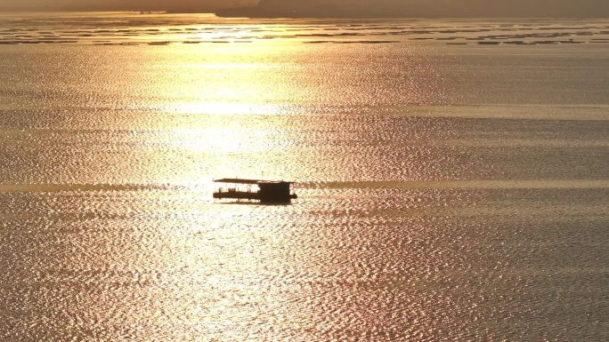 深圳湾日出海洋渔船航拍